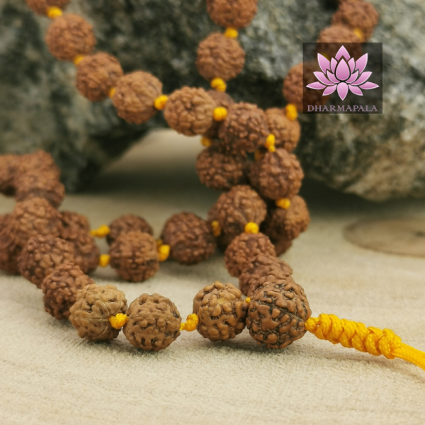 Rudraksha Mala-Kette